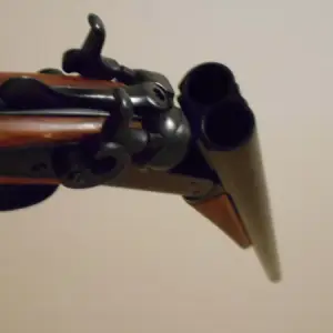 コーチガンの画像4枚目